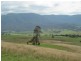 Bemboka NSW 2550