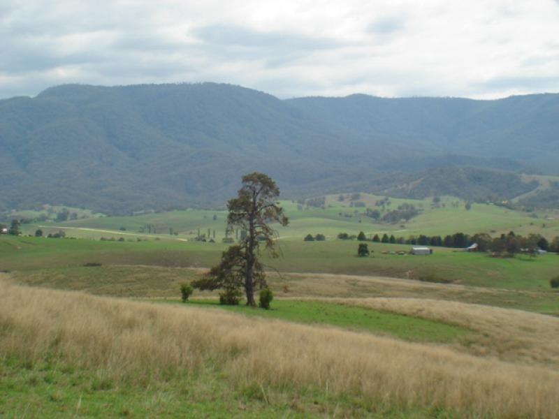 Bemboka NSW 2550