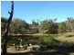 Bega NSW 2550