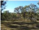 Bega NSW 2550