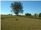 Bega NSW 2550