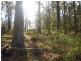 Bournda NSW 2550