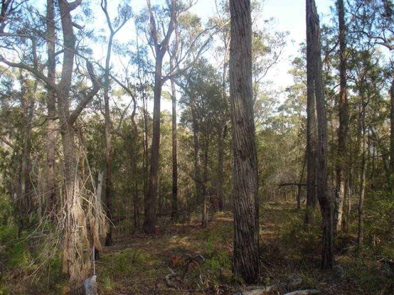 Bournda NSW 2550