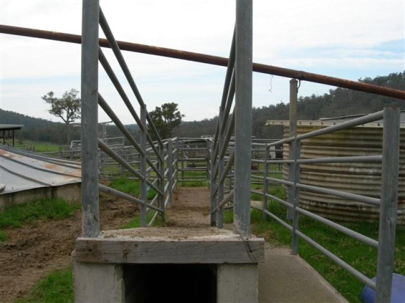 Cobargo NSW 2550