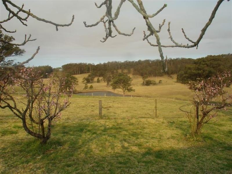 Coolagolite NSW 2550