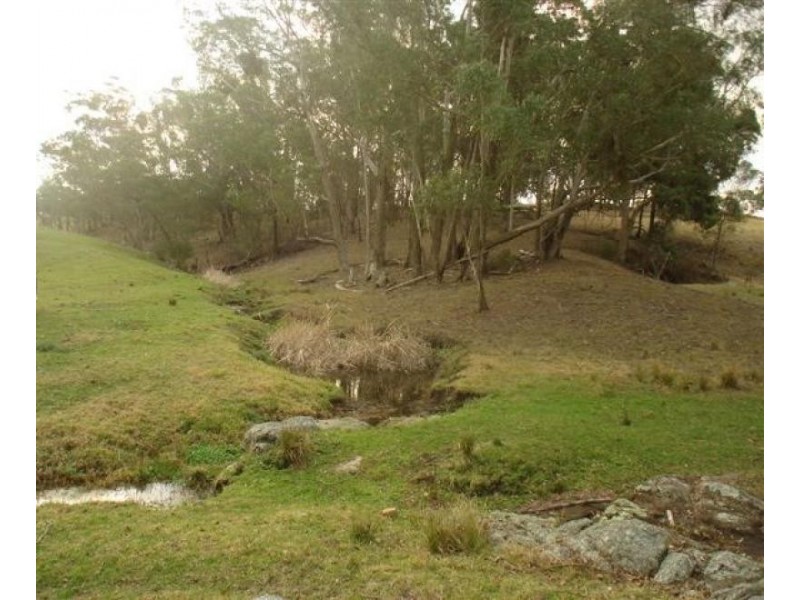 Coolagolite NSW 2550