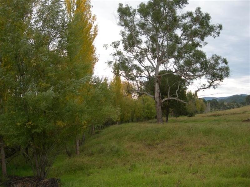 Cobargo NSW 2550