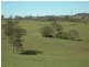 Cobargo NSW 2550
