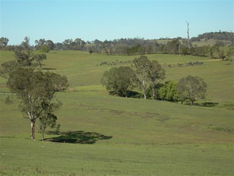 Cobargo NSW 2550