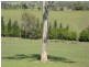 Cobargo NSW 2550