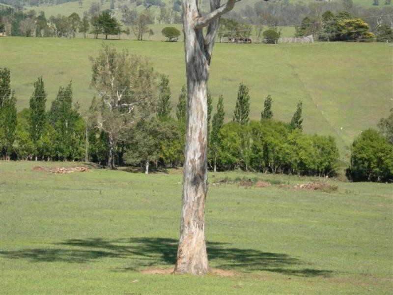 Cobargo NSW 2550