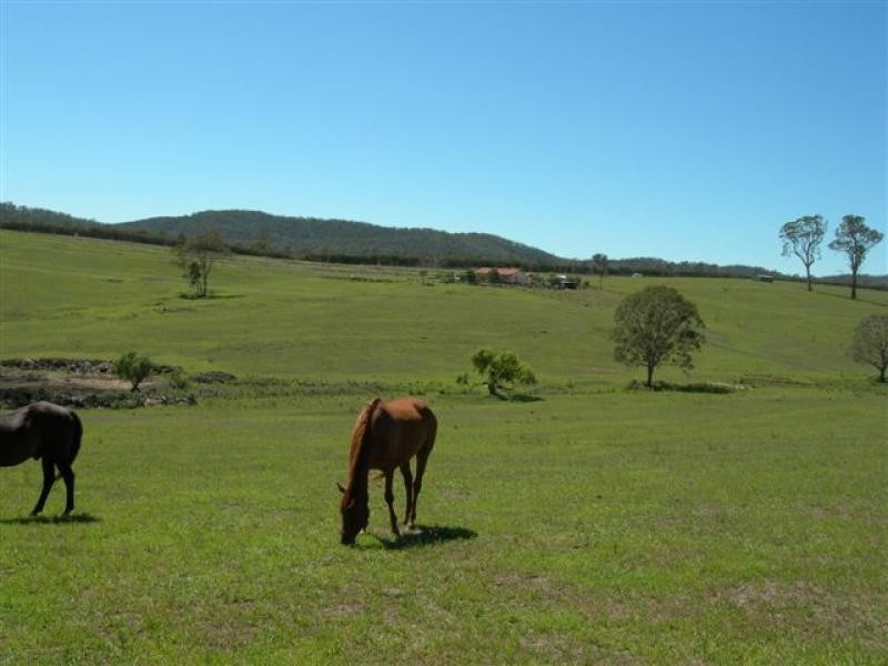 Cobargo NSW 2550