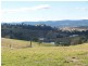 Bega NSW 2550