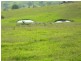 Bega NSW 2550