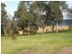 Bemboka NSW 2550