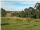 Bemboka NSW 2550