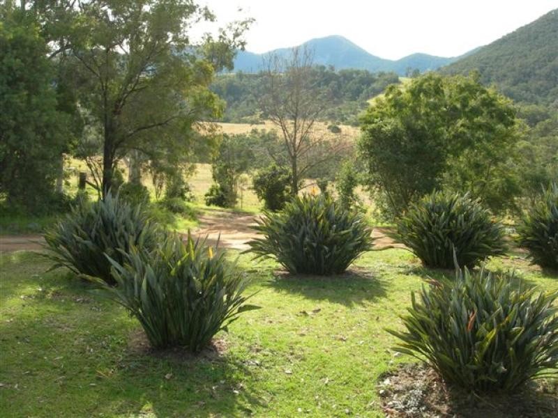 Bemboka NSW 2550