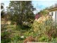 Bemboka NSW 2550