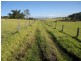 Cobargo NSW 2550