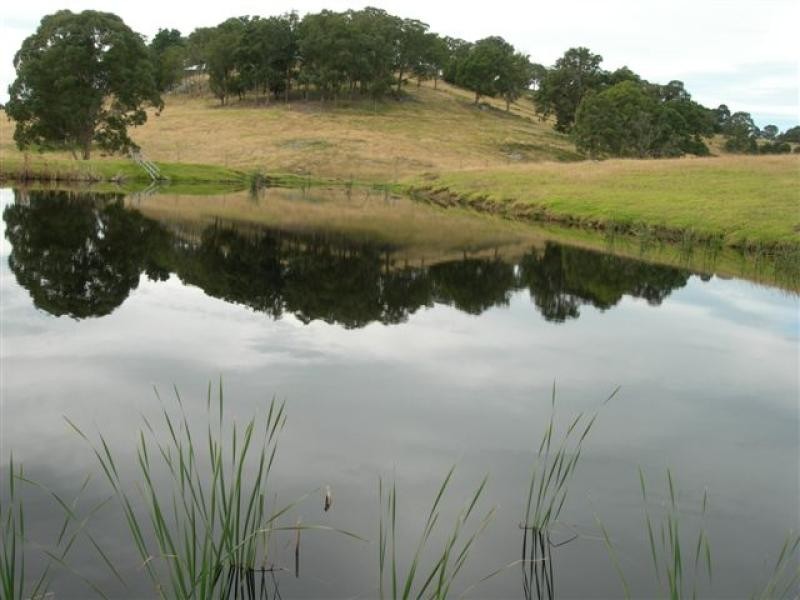 Cobargo NSW 2550