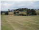 Cobargo NSW 2550