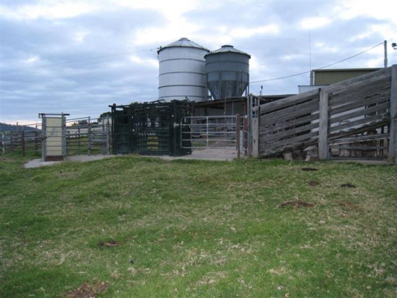 Cobargo NSW 2550