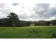 Cobargo NSW 2550