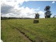 Cobargo NSW 2550