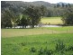 Cobargo NSW 2550