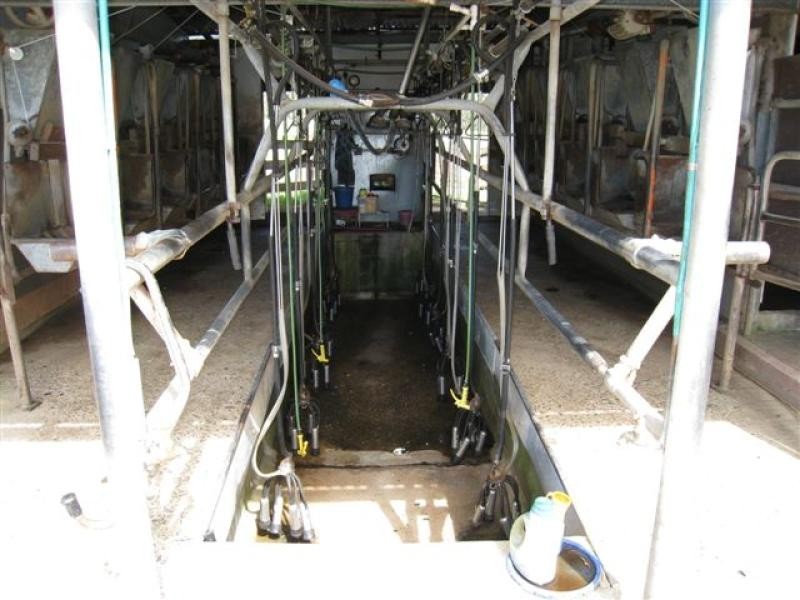 Cobargo NSW 2550