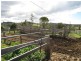 Cobargo NSW 2550