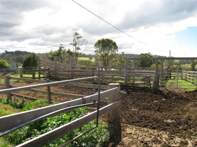 Cobargo NSW 2550