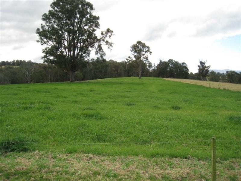 Cobargo NSW 2550