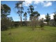 Cobargo NSW 2550
