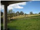 Cobargo NSW 2550