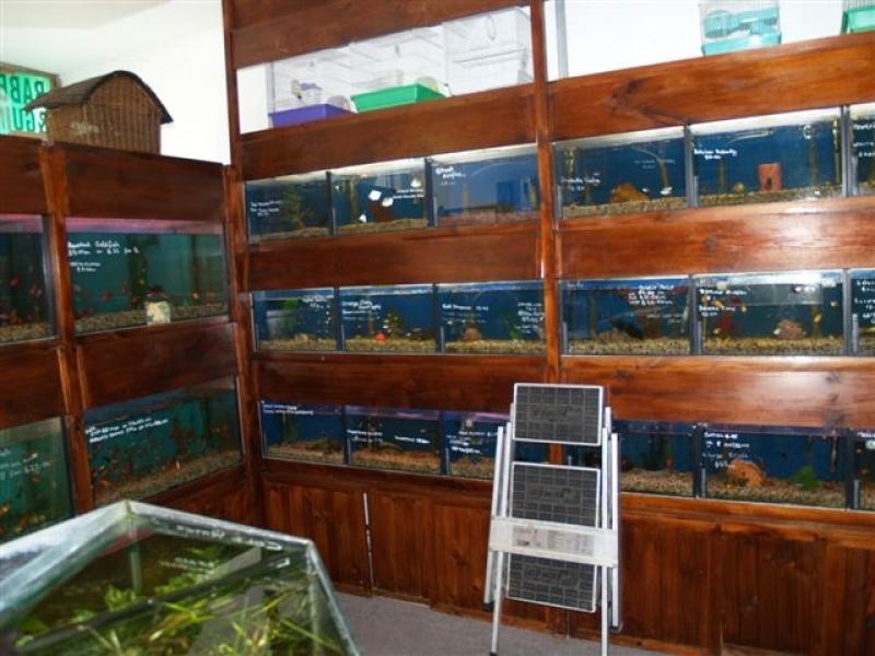 147 Auckland St, Bega NSW 2550