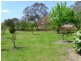 378 Bega Candelo Rd, Kanoona NSW 2550