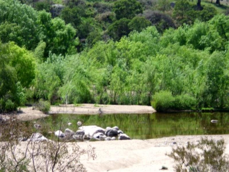 378 Bega Candelo Rd, Kanoona NSW 2550