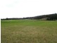 165 Yowaka River Rd, Greigs Flat NSW 2549