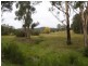 Wolumla NSW 2550