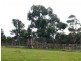 Wolumla NSW 2550
