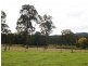 Wolumla NSW 2550