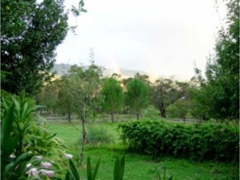 Bemboka NSW 2550