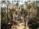 113 Brittens Rd, Tantawangalo NSW 2550