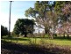 23 Hergenhan’s Lane, Angledale NSW 2550