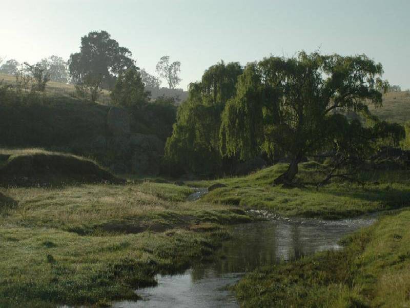 PRINCES HIGHWAY, Bega NSW 2550