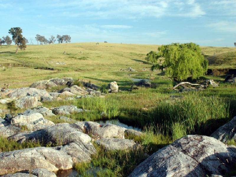 PRINCES HIGHWAY, Bega NSW 2550