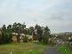 1 WEST STREET, Bega NSW 2550