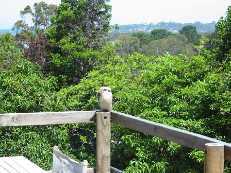 9 Bay Drive, Tathra NSW 2550