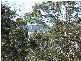 Tathra NSW 2550